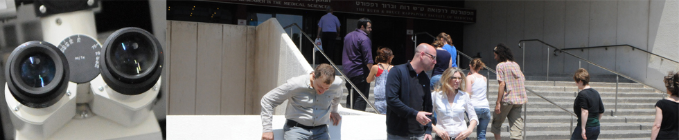 Technion Brain Research